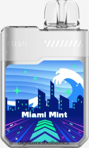 Digiflavor Geekbar LUSH Disposables Miami Mint 6Z82J11 Digiflavor South Africa